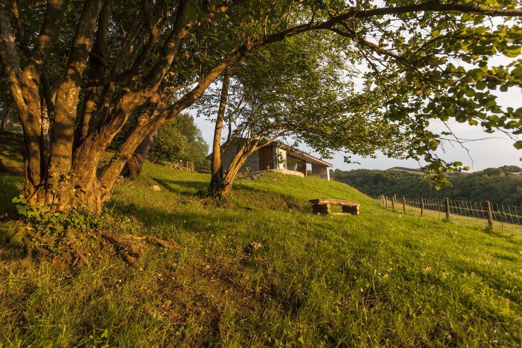Cabanas Deluxe Basajaun Basoa By Irrisarri Land Igantzi Kamer foto
